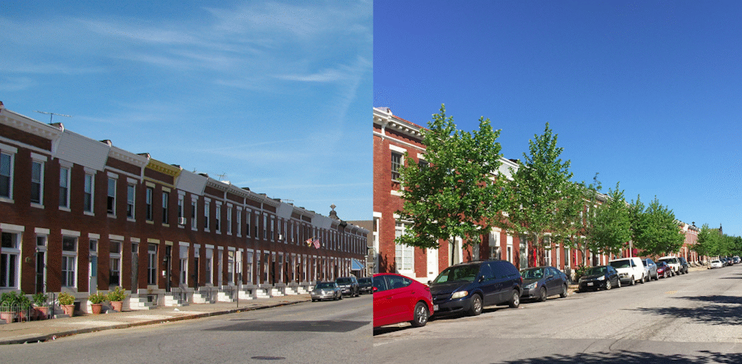 Behind every tree is a job opportunity