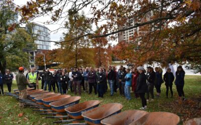 #SecondSaturdays with Volunteering Untapped