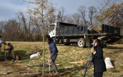 Concluding Another Knock-Out Planting Season!