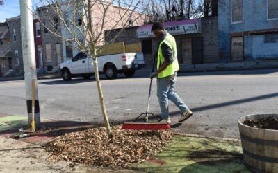 Spring 2022 Planting Season is Here!