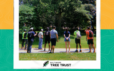 A Tree Trust Summer: Photo Recap