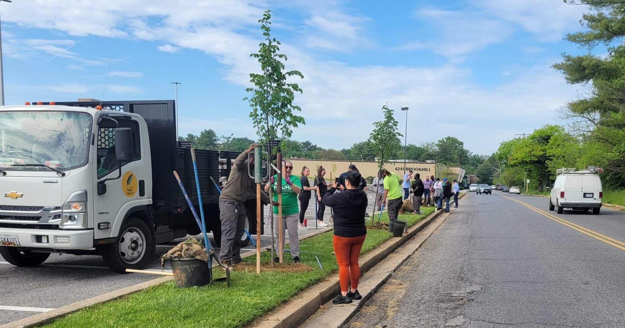 A photo of people planting along a suburban street at the Reisterstown Road Plaza, a tree planting project with the plaza's management.
