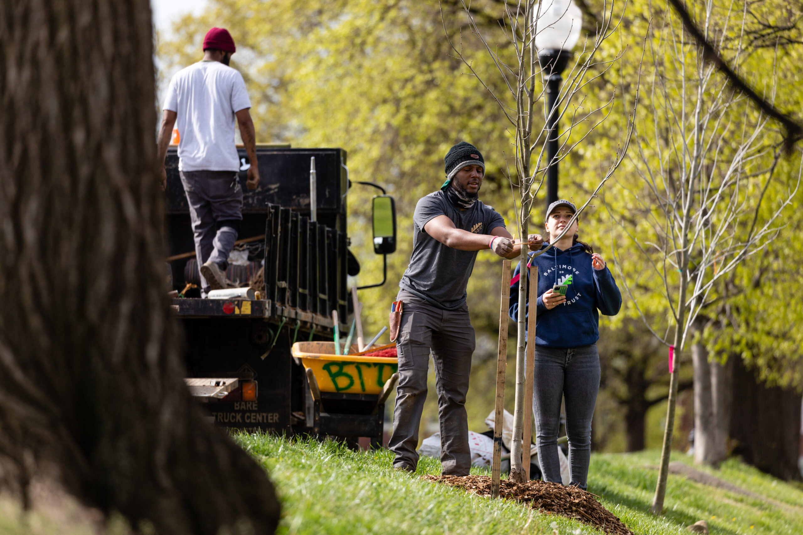 Two people plant a young tree in a park, surrounded by lush greenery. A truck and wheelbarrow are nearby. The scene feels collaborative and hopeful.