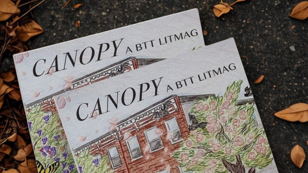 Two issues of "Canopy: A BTT Litmag" with illustrated covers featuring a building and blooming trees, surrounded by autumn leaves on asphalt.