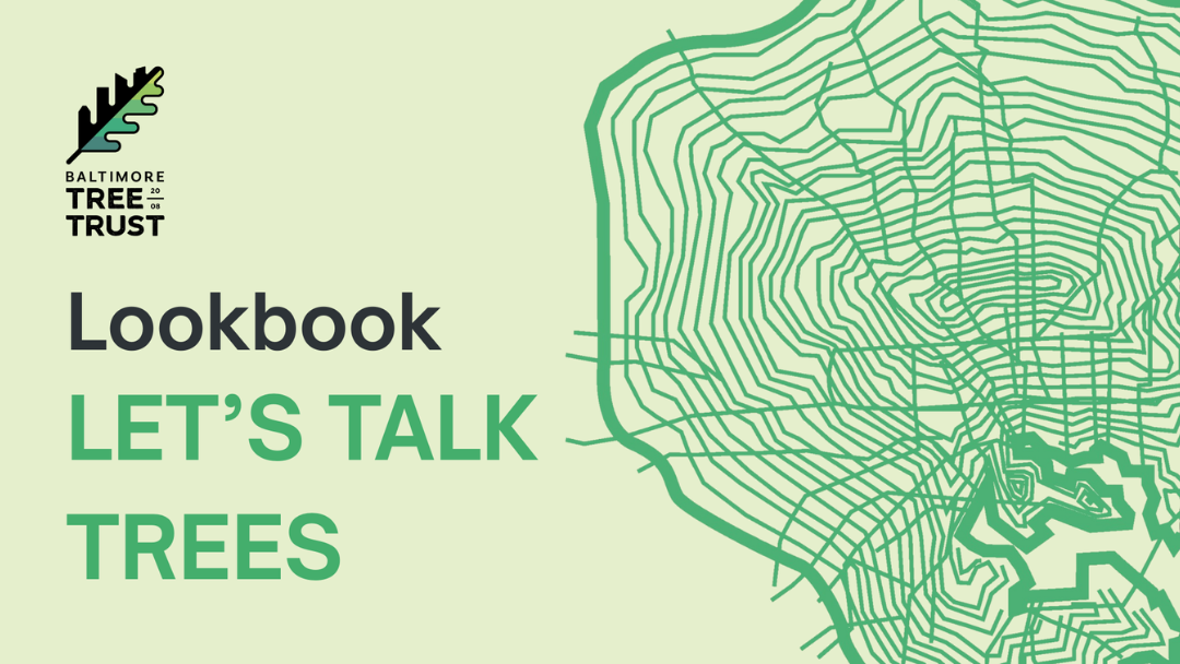 Illustration for Baltimore Tree Trust Lookbook titled 'Let's Talk Trees.' Features a stylized green map on a light background.
