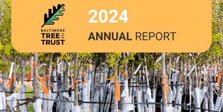 BaltimoreTreeTrust AnnualReport Cover of Baltimore Tree Trust's 2024 Annual Report, which features a photo of trees waiting to be planted.