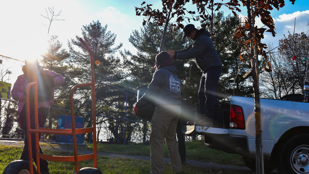 Two workers are unloading equipment from the back of a white pickup truck in a park setting. One person is lifting or handling gear while another assists. An orange wheeled cart or dolly sits nearby on the grass. Bright sunlight filters through trees with autumn foliage, creating dramatic lighting and lens flare effects.
