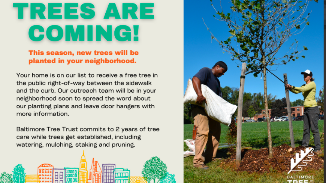 Postcard cover promoting "Trees are coming!" with details about upcoming tree plantings and a photograph of a tree being planted and mulched by a man and a woman.