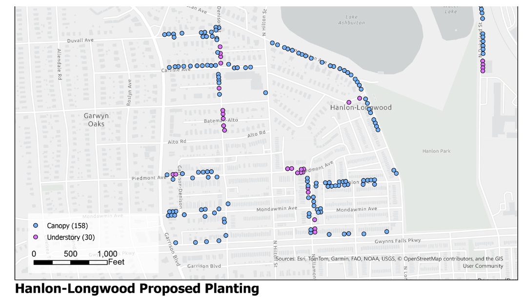 A map of a proposed planting plan of the Hanlon-Longwood neighborhood, showing areas that have been identified by the site assessment team as suitable areas to plant trees.
