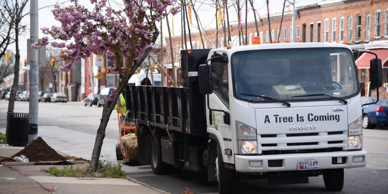 A truck labeled "A Tree Is Coming" is parked beside blooming cherry blossom trees on a city street. Workers and planting tools are partially visible, suggesting an urban greening effort.