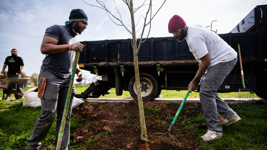 Two Black men plant a tree in a park, using shovels. They are focused and collaborative. A truck and another worker with a wheelbarrow are in the background.